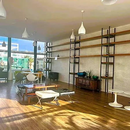 Plaza Palmeras 호텔